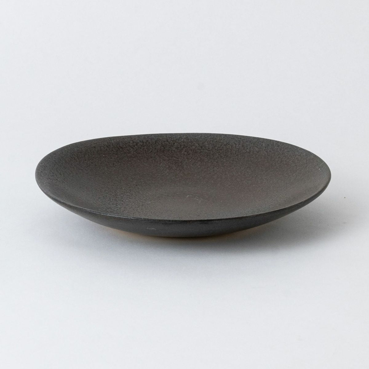 Shigaraki Ware MELLOW Collection Dinner Plate