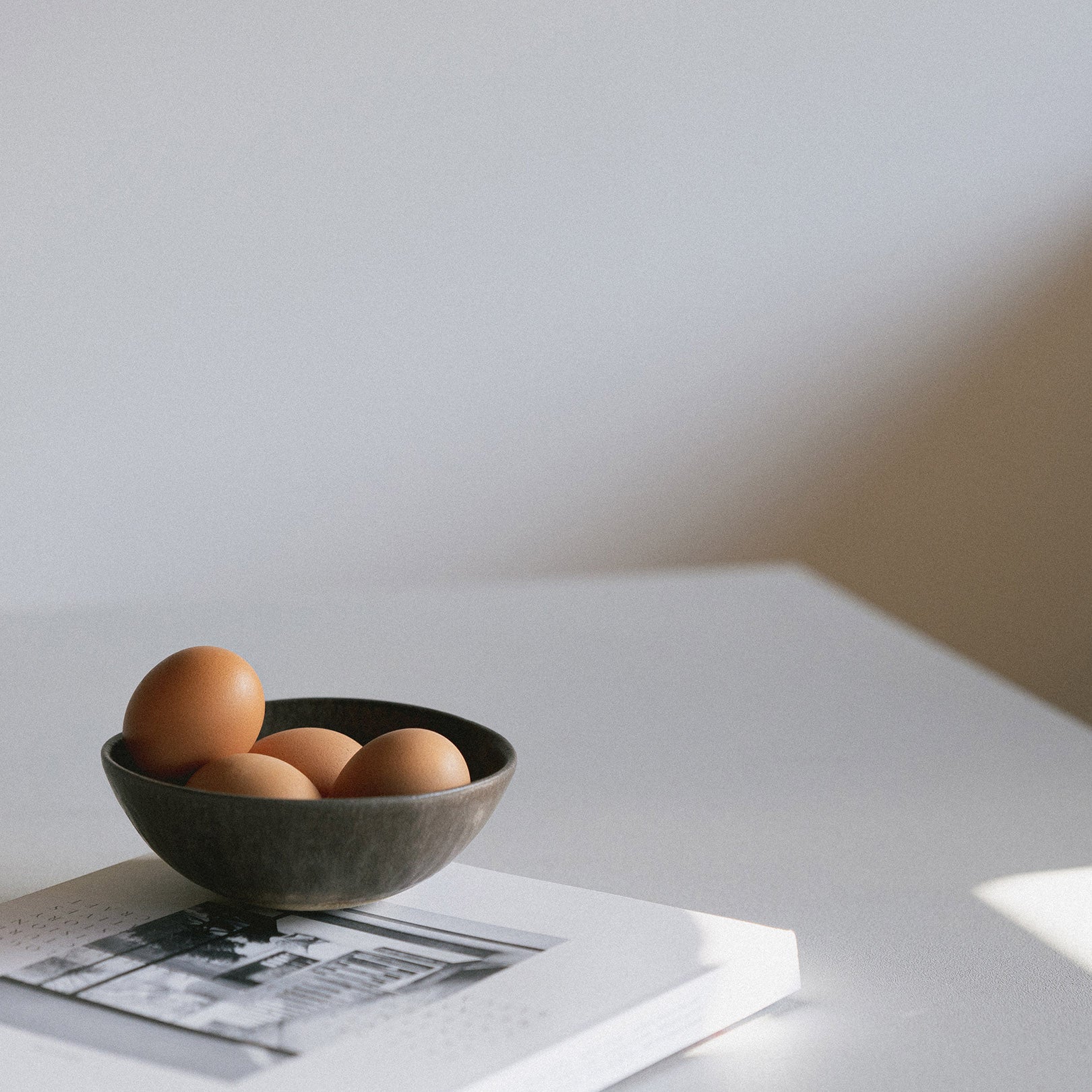 Shigaraki Ware MELLOW Collection Cereal Bowl