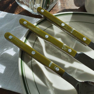 Sabre Paris Bistrot Shiny Flatware - Green Fern